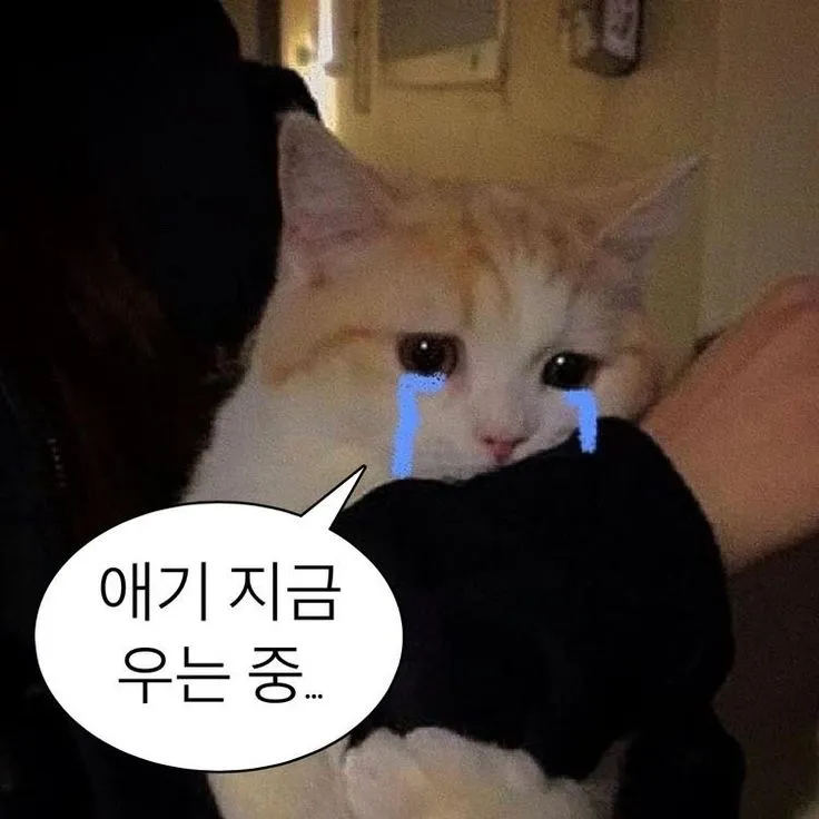 20더벌어야되는데 아족같네