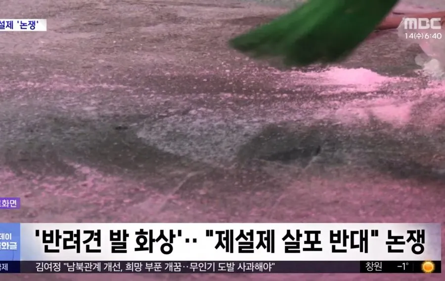 개를 위해서 염화칼슘 뿌리지 말아라