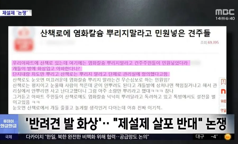 개를 위해서 염화칼슘 뿌리지 말아라2