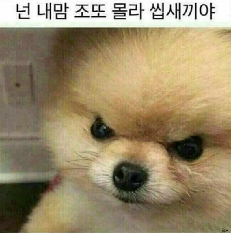 주말에 시킨 액세서리들 배송왓네요 댓글