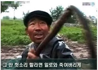 사주 봤는데 마음에 안 들어요 댓글
