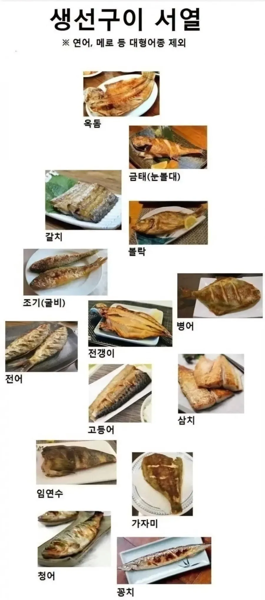 생선구이 서열표