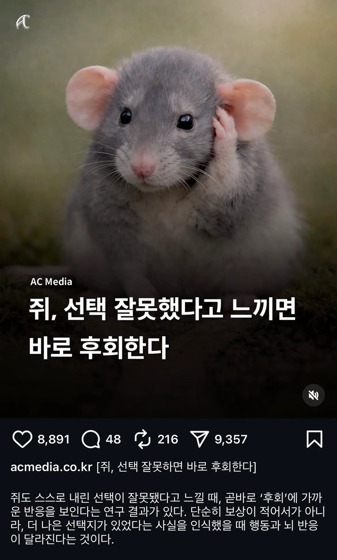 쥐도 선택 잘못했다고 느끼면 