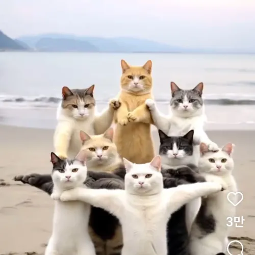 [초보질문 문의 환영]아가씨입문 하시는분들 핑프 뭐든 문의하세요! 집보증금도 OK!!